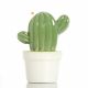 Cactus De Ceramica 9 cm x12u