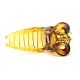Broche de pelo carey 10.5cm x1u