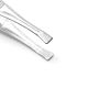 Pinza de depilar acero inoxidable x1u