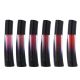 Brillo labial color x24u.