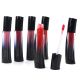 Brillo labial color x24u.