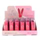 Lapiz labial x24u