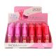 Lapiz labial x24u