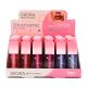 Brillo labial x24u