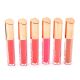 Brillo labial color x24u