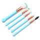 Set brochas de maquillaje mango patitas x5u