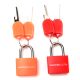 Set de 2 candados de color con llave Wanderlust 23x10x31mm - x1u